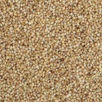 Organic Little Millet | Grab2Buy