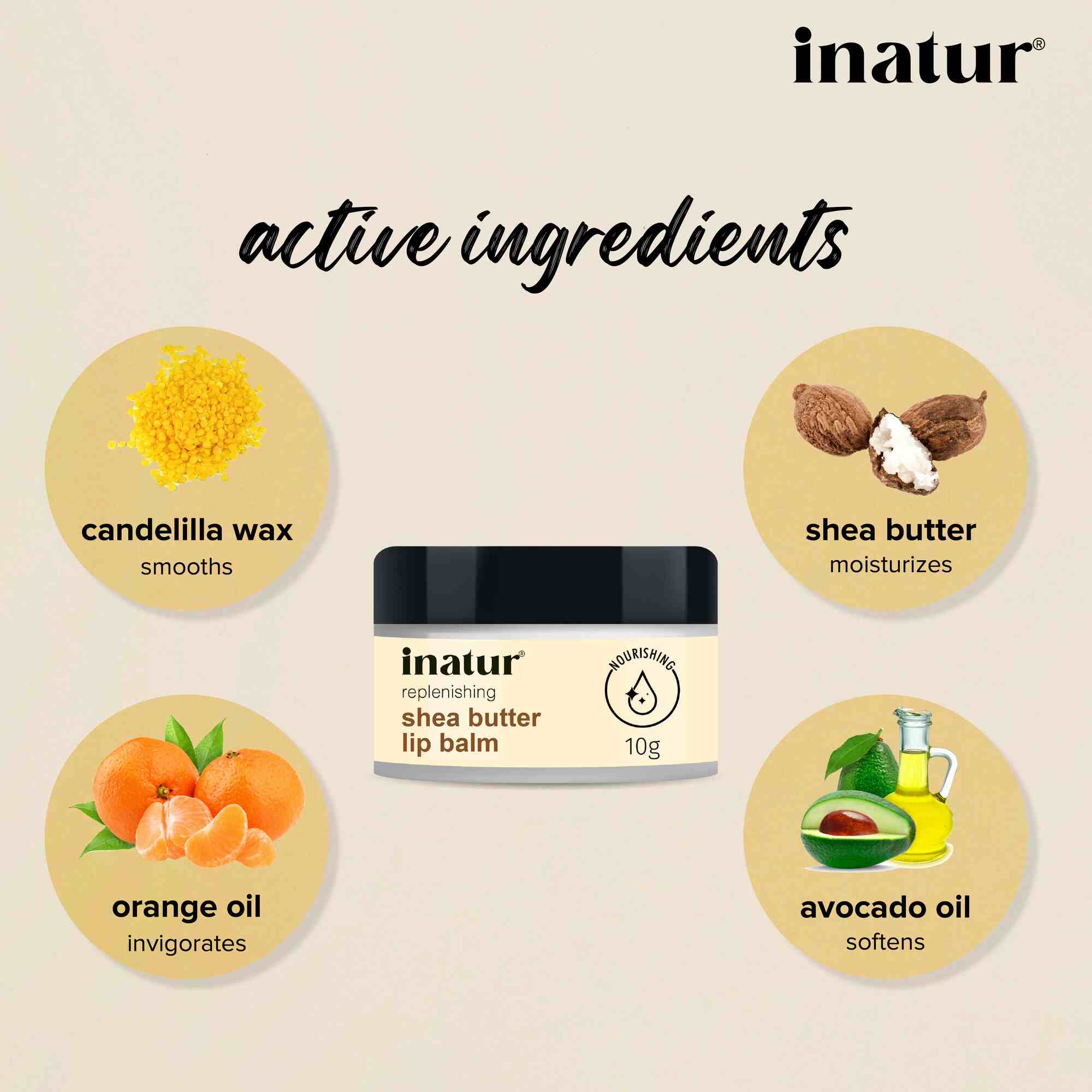 Inatur Shea Butter Lip Balm | Grab2Buy