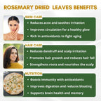 Mystiq Living Dried Rosemary Leaves for Hair Growth | Grab2Buy