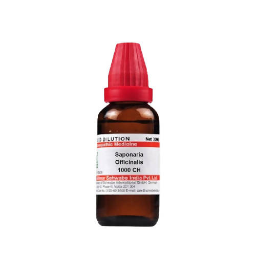 Dr. Willmar Schwabe India Saponaria Officinalis Dilution | Grab2Buy