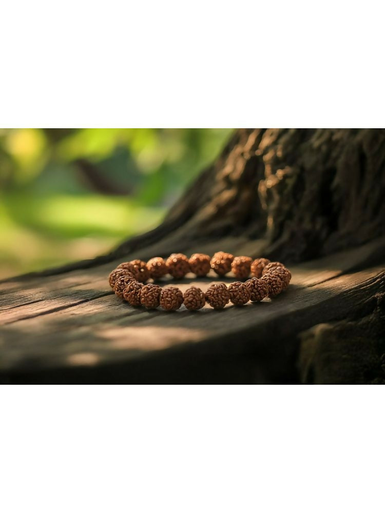 NVR 5 Mukhi Rudraksha Stretchable Bracelet | Grab2Buy