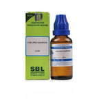 SBL Homeopathy Cascara Sagrada Dilution | Grab2Buy