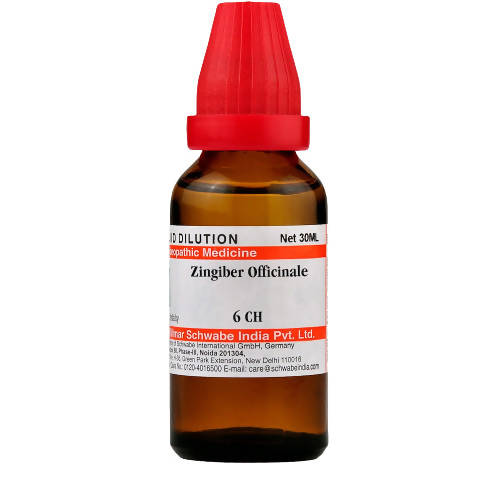 Dr. Willmar Schwabe India Zingiber Officinale Dilution | Grab2Buy