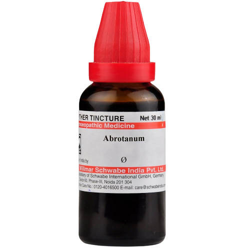 Dr. Willmar Schwabe India Abrotanum Mother Tincture Q | Grab2Buy