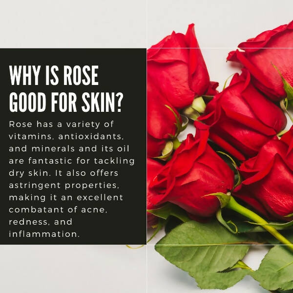 Organicos Rose Face Cleanser | Grab2Buy