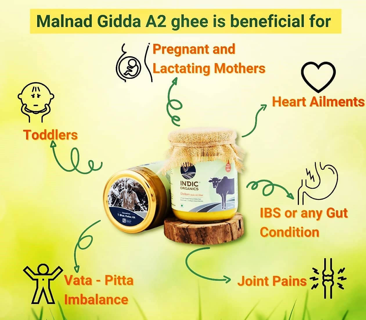 Indic Organics Forest Grazing Malnad Gidda Desi Cow's A2 Ghee | Pure Desi Cow Ghee | Cultured Premium Ghee | Swadesiicart