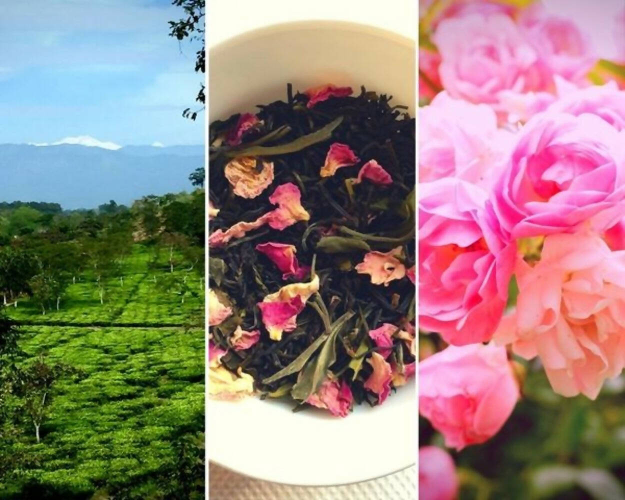 Nuxalbari Organic La Vie en Rose Tea | Grab2Buy