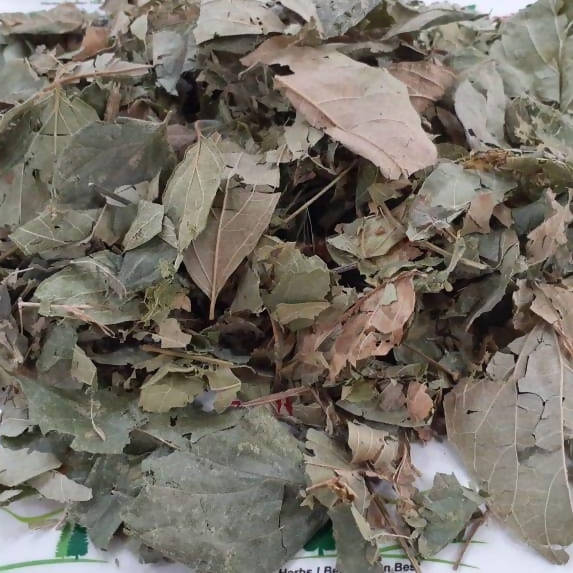 Liferr Parijat Leaves Powder | Grab2Buy