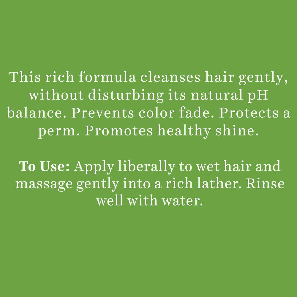 Biotique Advanced Ayurveda Bio Soya Protein Fresh Nourishing Shampoo | Grab2Buy