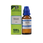 SBL Homeopathy Bismuthum Oxydatum Dilution | Grab2Buy