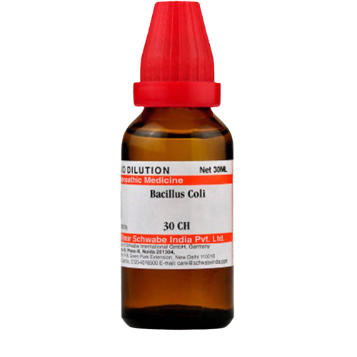 Dr. Willmar Schwabe India Bacillus Coli Dilution | Grab2Buy