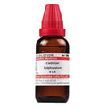 Dr. Willmar Schwabe India Cadmium Sulphuratum Dilution | Grab2Buy