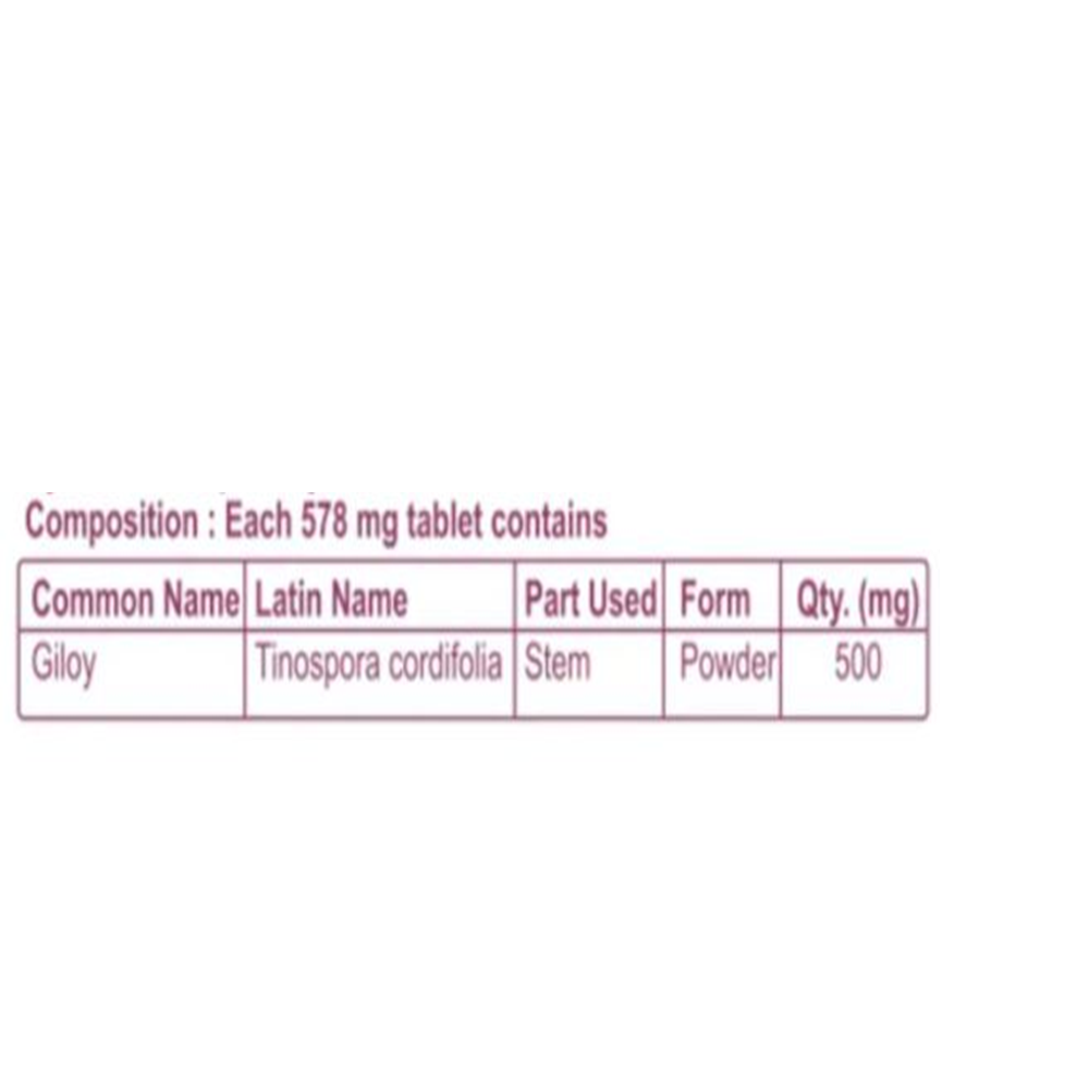 Patanjali Neem Ghan Vati | Concentrated Ayurvedic Neem Extract Tablets