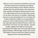 Satvi Wellness Hibiscus Flower Drink | Hibiscus Flower Tea | Hibiscus Tea | Herbal Tea