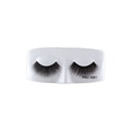PAC Studio Mink Lash - M81