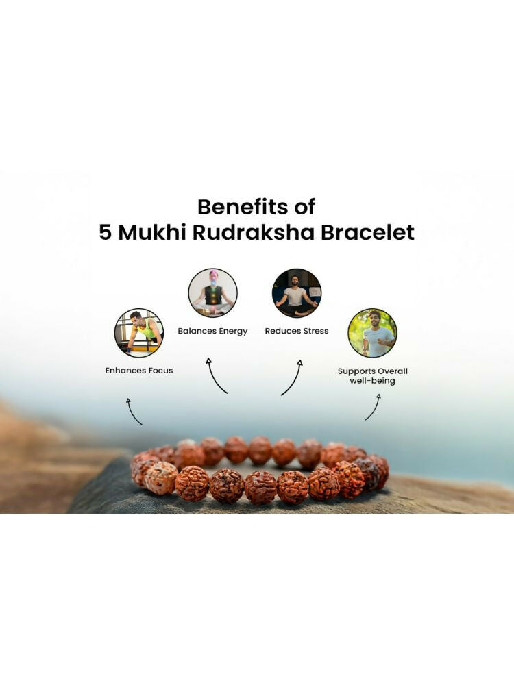 NVR 5 Mukhi Rudraksha Stretchable Bracelet | Grab2Buy