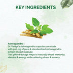 Dr. Vaidya's Ashwagandha Capsules | Grab2Buy