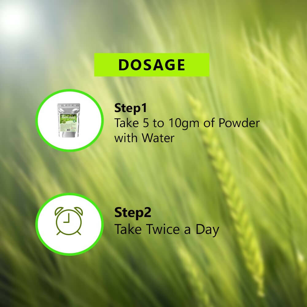 Syndy Pharma Organic Wheat Grass Powder | Grab2Buy