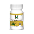 H&C Herbal Papaya Leaves Tablets | Grab2Buy