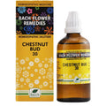 New Life Homeopathy Bach Flower Remedies Chestnut Bud Dilution | Grab2Buy