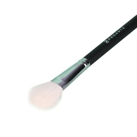 Proarte FBlush Brush PF-55 | Grab2Buy