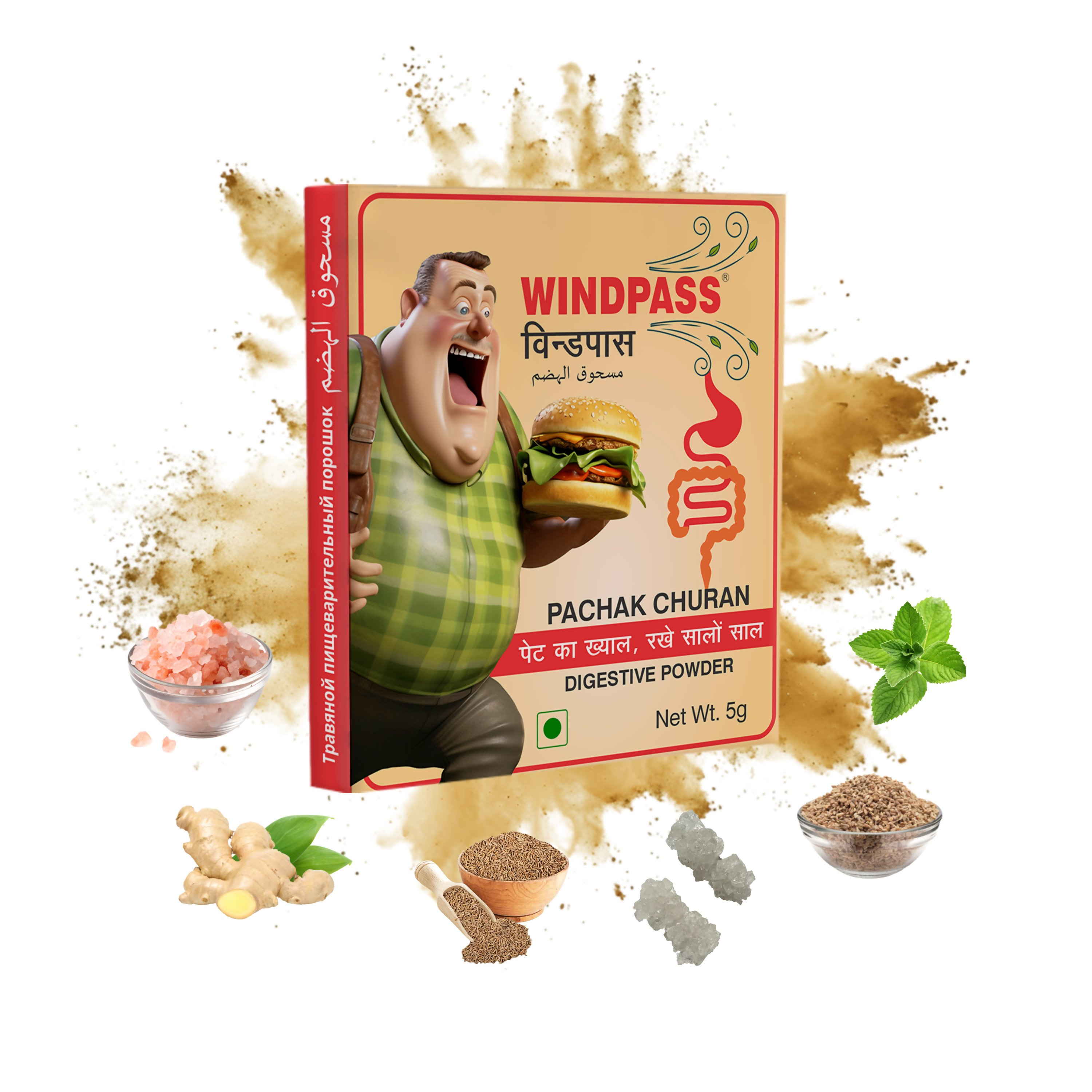 Satya Pharmaceuticals Ayurveda Windpass Pachak Churan Sachet | Grab2Buy