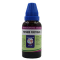 Father Muller Pothos Foetidus Mother Tincture Q | Grab2Buy