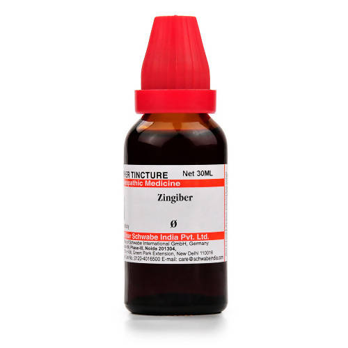 Dr. Willmar Schwabe India Zingiber Mother Tincture Q | Grab2Buy