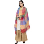 A R Silk Chanderi Multi Box Multi Box Multi Color Dupatta or Chunni | Grab2Buy