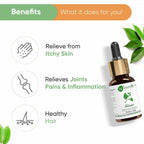 Naturalis Essence of Nature Camphor Essential Oil | Grab2Buy