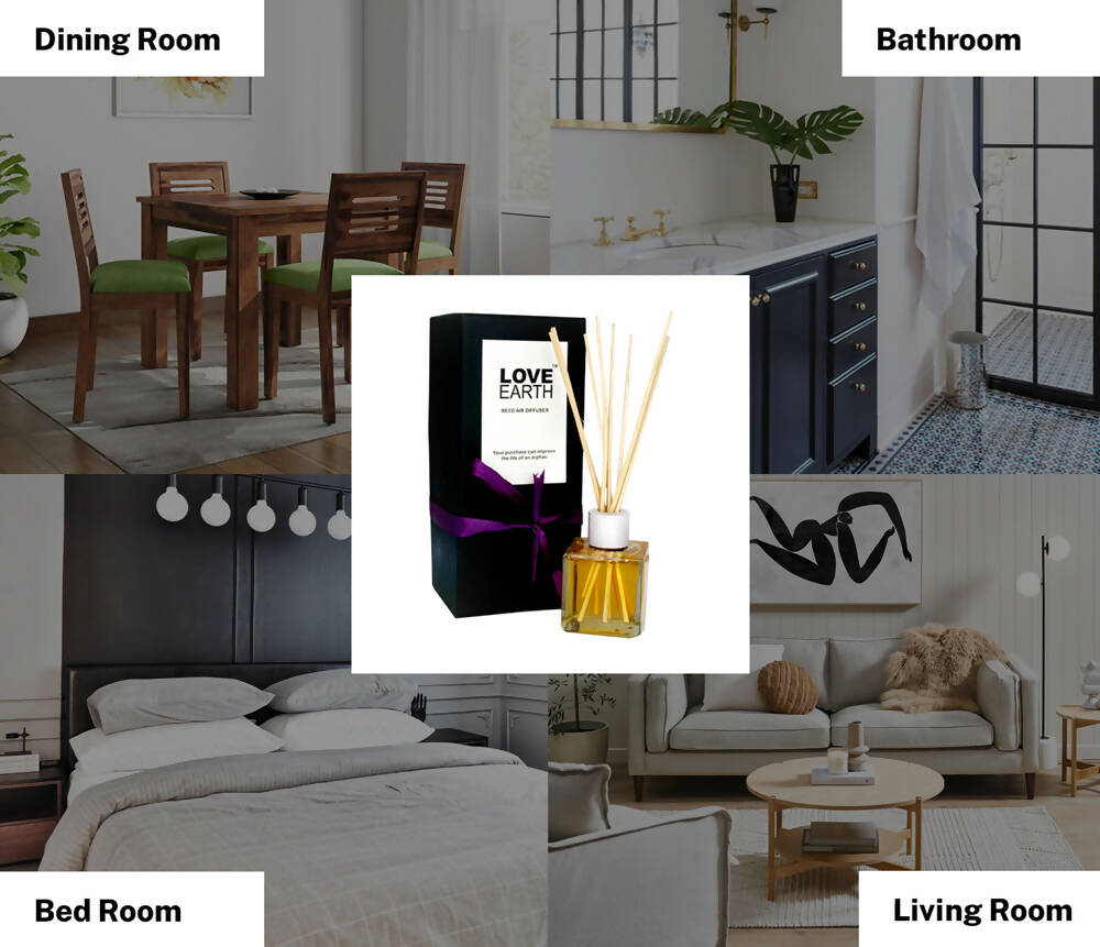 Love Earth Reed Diffuser- Orange | Grab2Buy