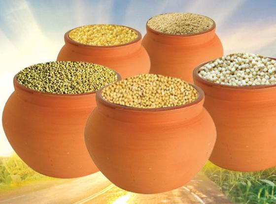 Siridhanyalu Millets - Siridhanya 5 Types Of Unpolished Organic Millets Rice Little, Kodo, Browntop Barnyard & Foxtail | Swadesiicart