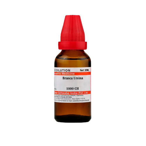 Dr. Willmar Schwabe India Branca Ursina Dilution | Grab2Buy