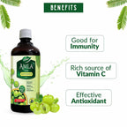 Dabur Amla Juice Immunity Booster | Grab2Buy