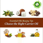 R V Essential Pure Cashew Nut Carrier Oil | Grab2Buy