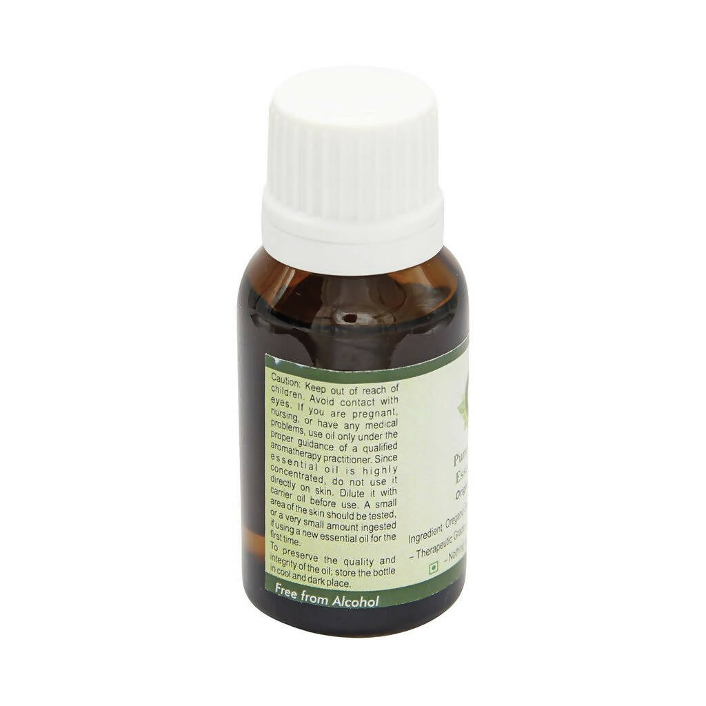 R V Essential Pure Oregano Essential Oil | Grab2Buy