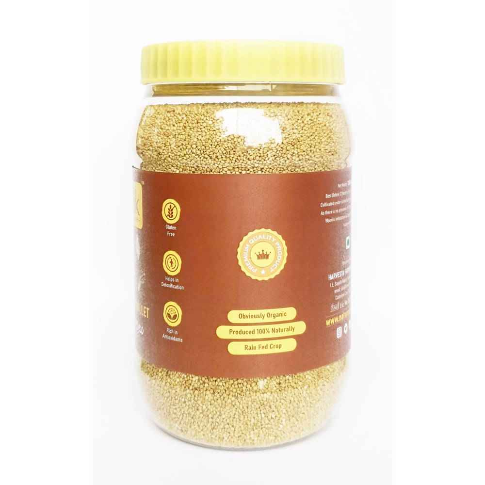 Nature's Trunk Brown Top Millets (Andu Korralu) | Grab2Buy