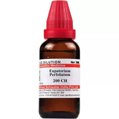 Dr. Willmar Schwabe India Eupatorium Perfoliatum Dilution | Grab2Buy