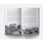 Pandit Vishnu Sharma's Panchatantra For Children