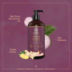 Ovation Onion Korean Ginseng Shampoo | Grab2Buy