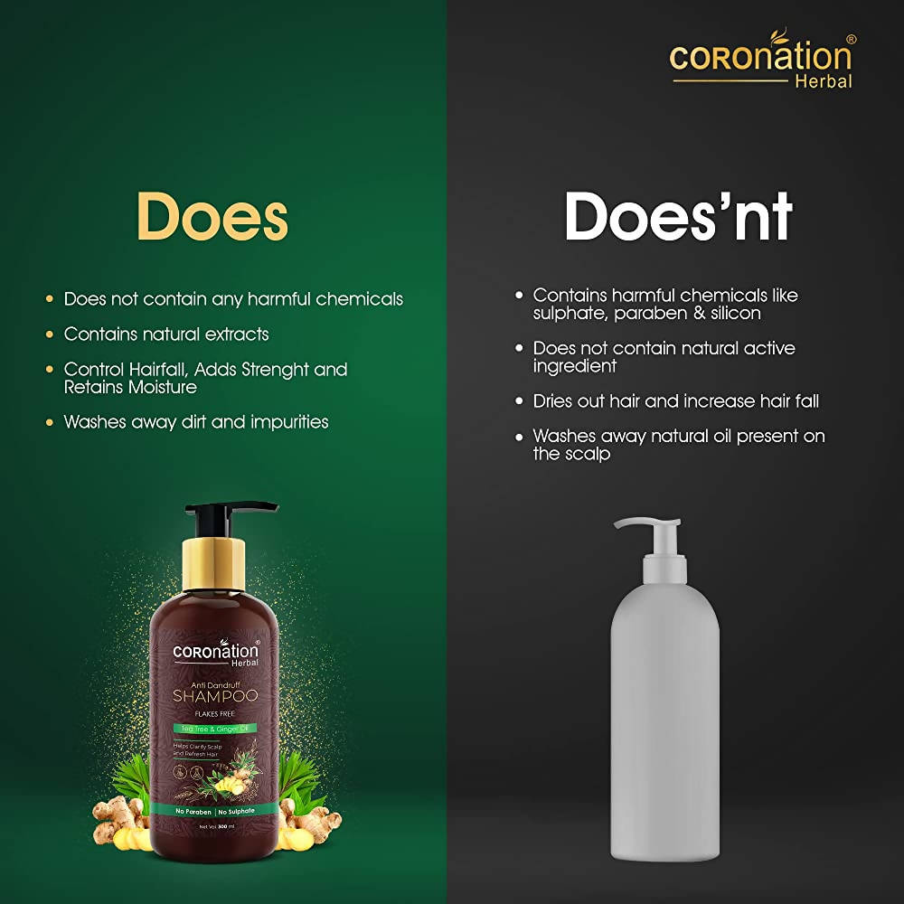 Coronation Herbal Herbal Anti Dandruff Shampoo | Grab2Buy