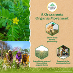 Organic India Gokshura Capsules