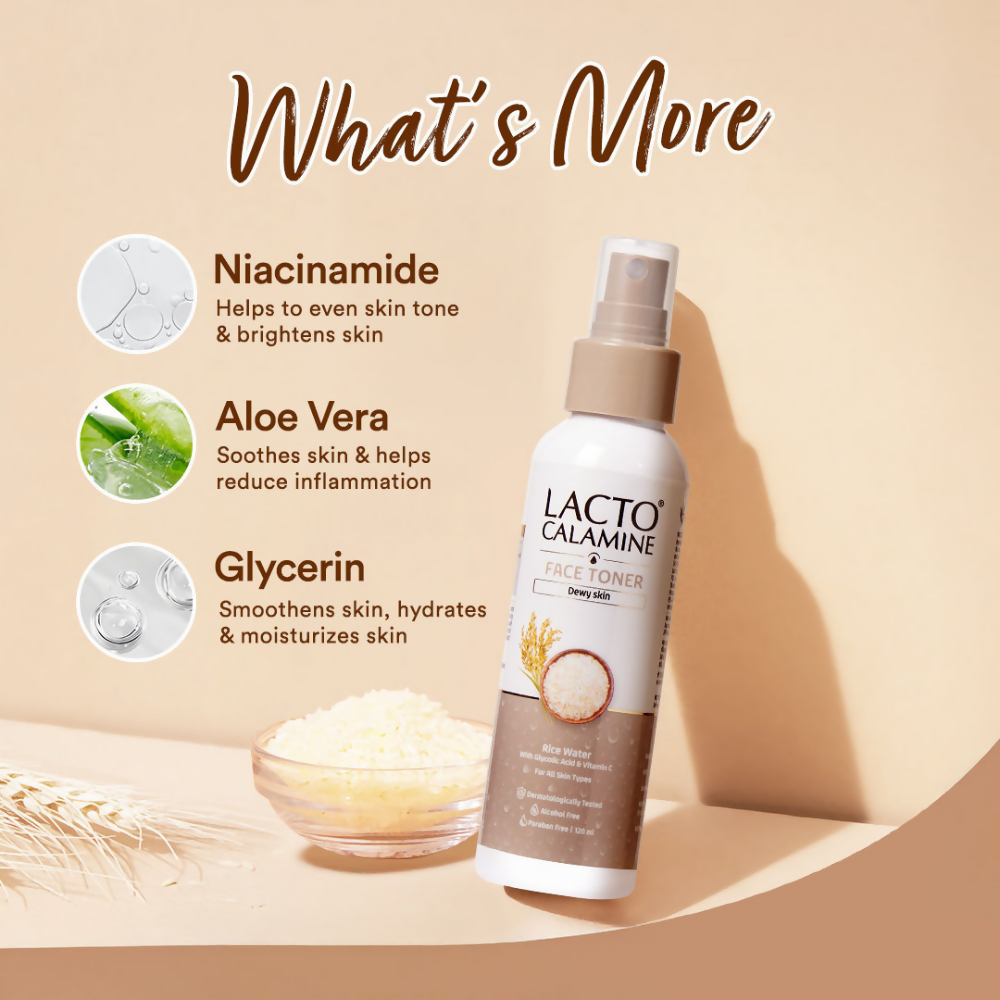 Lacto Calamine Rice Toner - Korean Skincare for Glass Skin | Grab2Buy