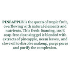 Biotique Advanced Ayurveda Bio Pineapple Oil Control Foaming Face Cleanser | Grab2Buy