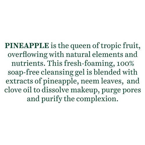 Biotique Advanced Ayurveda Bio Pineapple Oil Control Foaming Face Cleanser | Grab2Buy