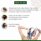 Globus Naturals Amla Reetha Shikakai Shampoo | Grab2Buy