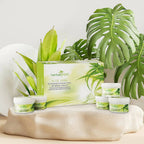 Herbal Tree Aloe Vera Facial Kit | Grab2Buy