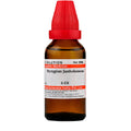 Dr. Willmar Schwabe India Syzygium Jambolanum Dilution | Grab2Buy