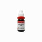 Dr. Reckeweg Euphorbium Dilution