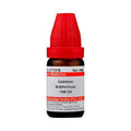 Dr. Willmar Schwabe India Cadmium Sulphuricum Dilution | Grab2Buy